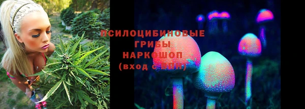 гидропоника Магадан