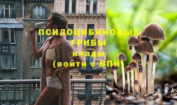 кокаин VHQ Магас