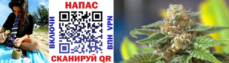 Бошки марихуана SATIVA & INDICA  Купить  Тимашёвск 